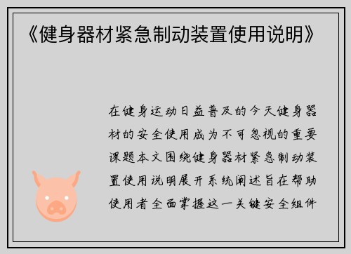 《健身器材紧急制动装置使用说明》
